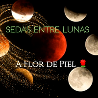 Logo Seda entre lunas