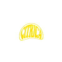 Logo Los Invisibles