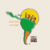 Logo Ivo Vio la Uva