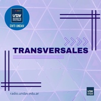 Logo Transversales 