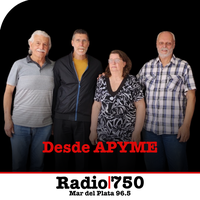 Logo Desde Apyme