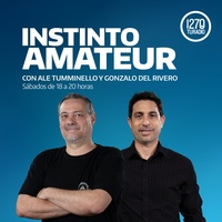 Logo INSTINTO AMATEUR