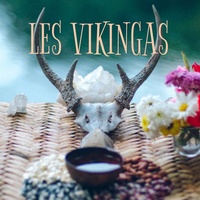 Logo Les Vikingas -Sabados 9-11hs