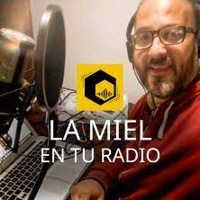 Logo La Miel en tu Radio