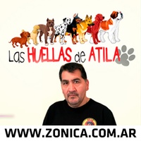 Logo LAS HUELLAS DE ATILA