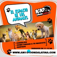 Logo El espacio de los animales