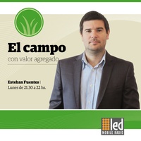 Logo El Campo