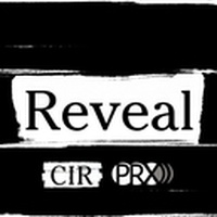 Logo Reveal