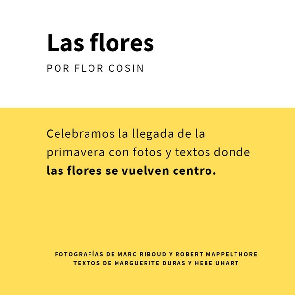 Logo del recorte