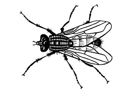 Logo del recorte