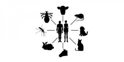 Logo del recorte