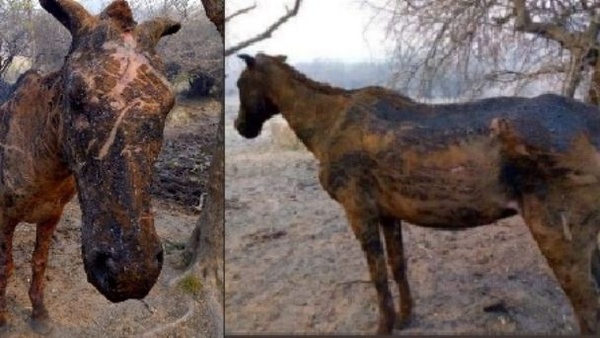 Logo del recorte