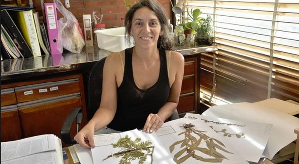 Logo del recorte
