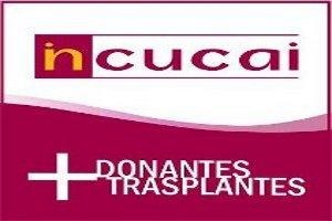 Logo del recorte