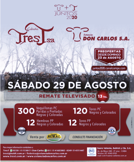 Logo del recorte