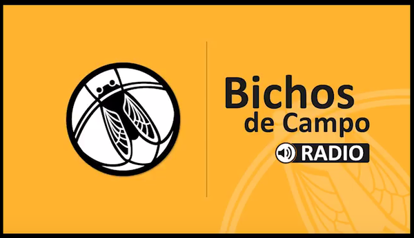 Logo del recorte