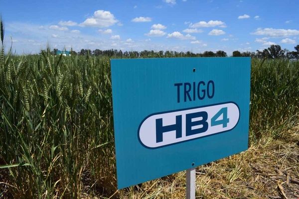 Logo del recorte