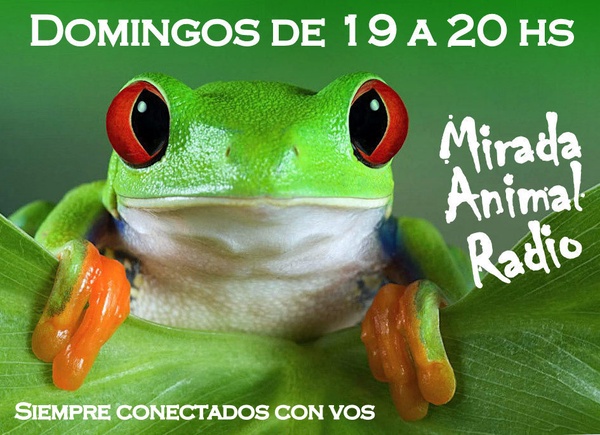 Logo del recorte