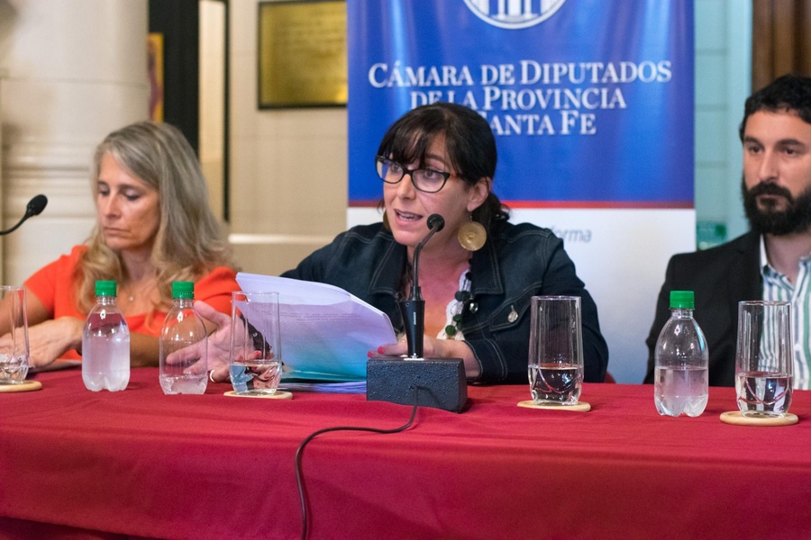 Celina Pochettino (ATE-Rosario) en la columna de Salud Mental | RadioCut Argentina