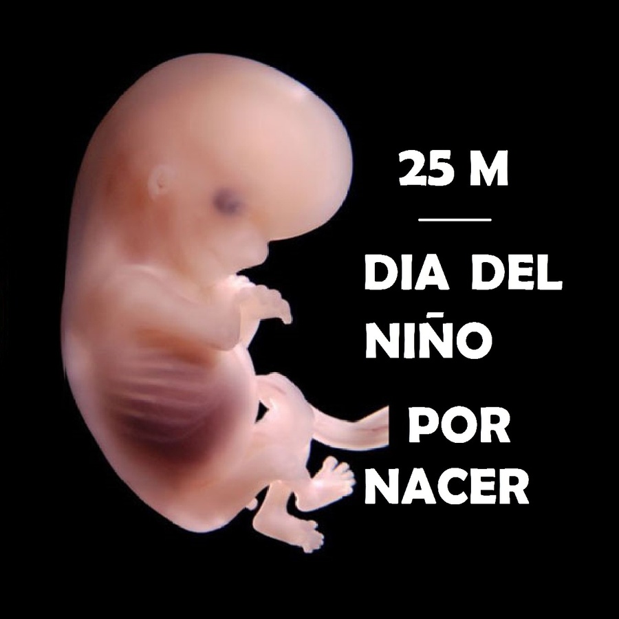 Dia Del Nino Por Nacer Se Celebra El Proximo Viernes Con Multiples Actividades Radiocut Argentina